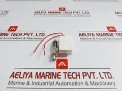 Plunger Micro Switch 125/250 Vac Saia-burgess Ds4