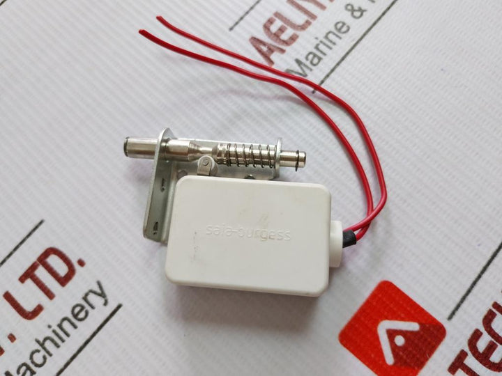 Plunger Micro Switch 125/250 Vac Saia-burgess Ds4