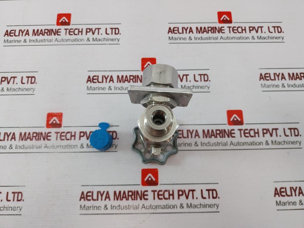 Pmi 843825 Needle Valve 316 Stainless Steel