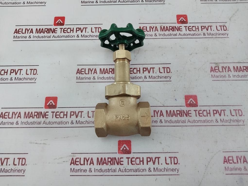 Pn25 Gate Valve 150S 300W06