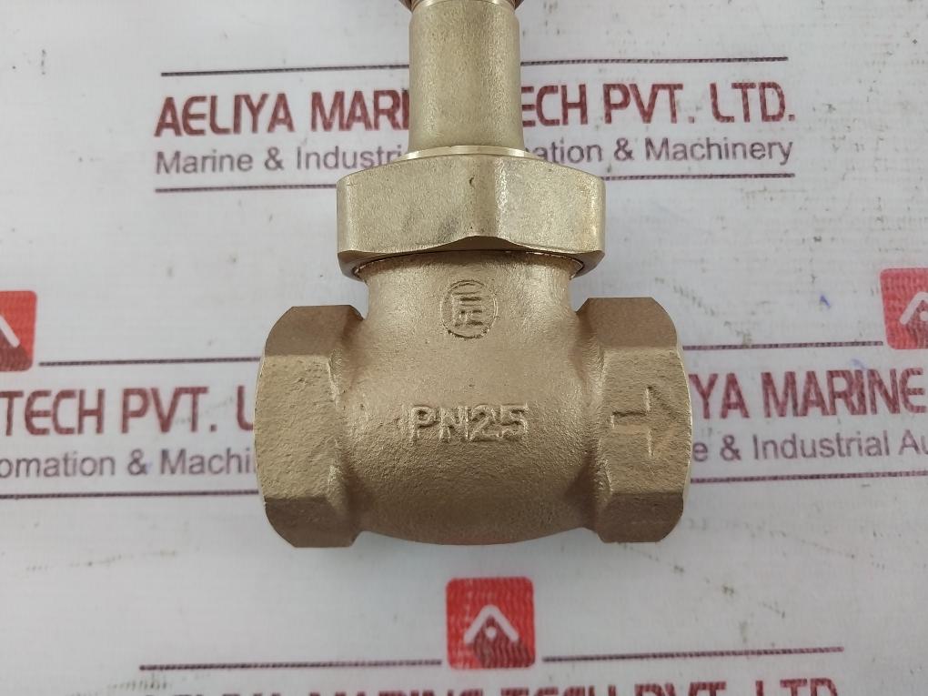 Pn25 Gate Valve 150S 300W06