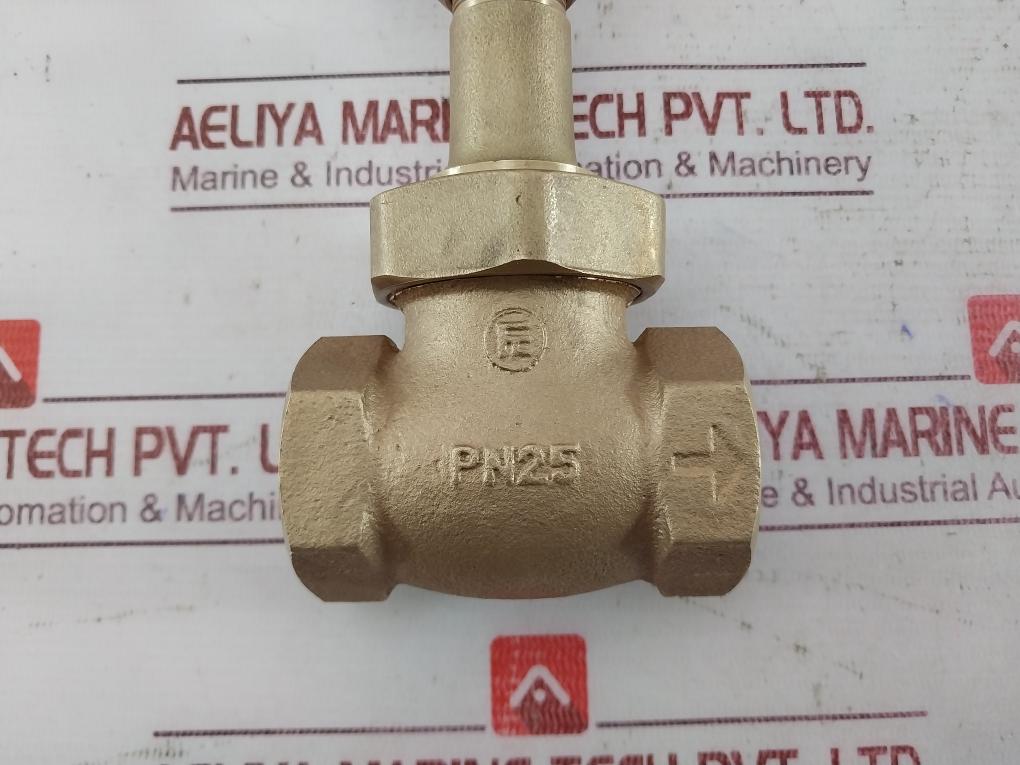 Pn25 Gate Valve 150S 300W06