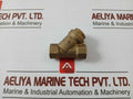 Pn 30 Dn 10 Brass Y-strainer