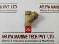 Pn 30 Dn 10 Brass Y-strainer