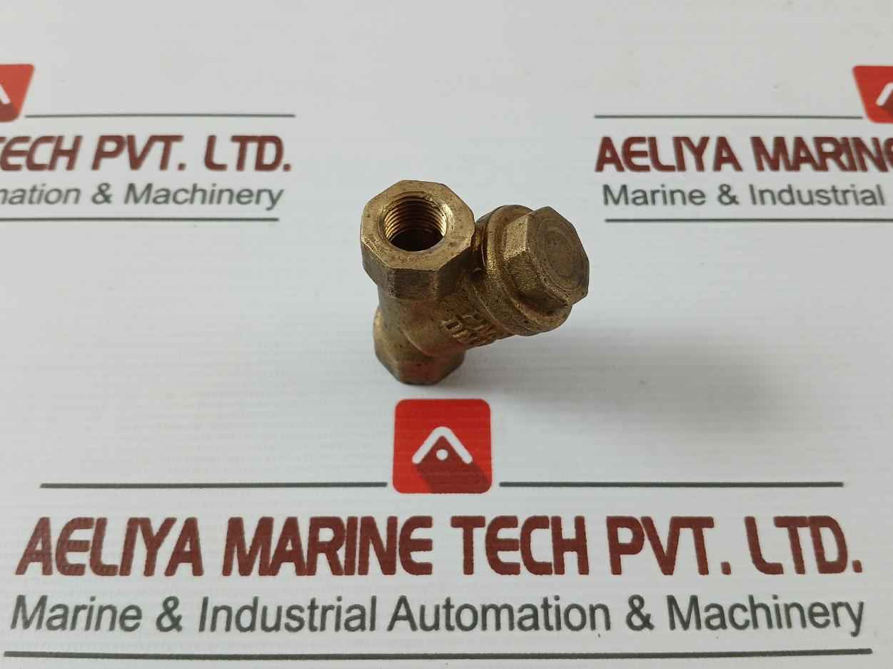 Pn 30 Dn 10 Brass Y-strainer
