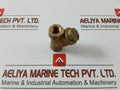 Pn 30 Dn 10 Brass Y-strainer