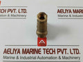 Pn 30 Dn 10 Brass Y-strainer