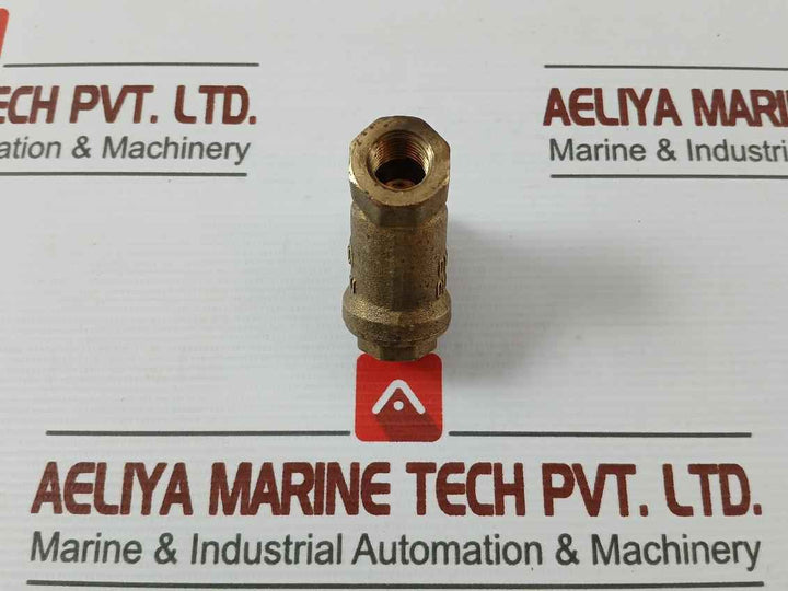 Pn 30 Dn 10 Brass Y-strainer