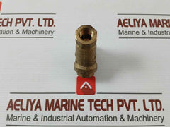 Pn 30 Dn 10 Brass Y-strainer