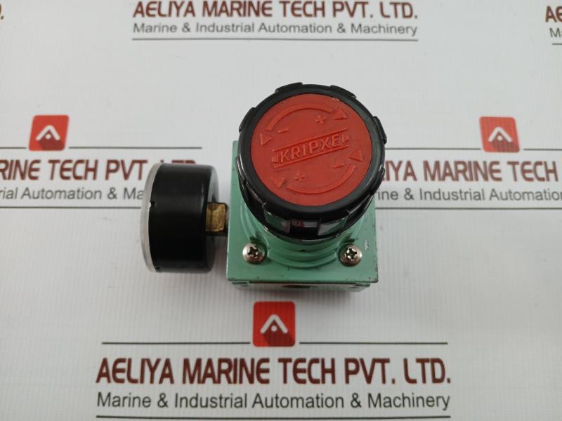 Pneumatic Air Flow Regulator With Analog Pressure Gauge 0-12 Bar Kripxe