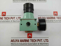 Pneumatic Air Flow Regulator With Analog Pressure Gauge 0-12 Bar Kripxe