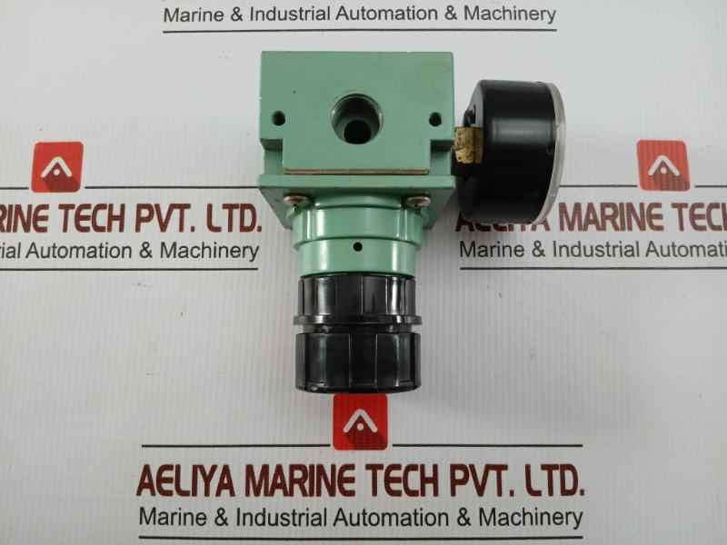 Pneumatic Air Flow Regulator With Analog Pressure Gauge 0-12 Bar Kripxe