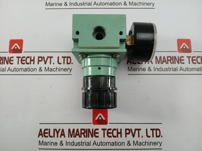 Pneumatic Air Flow Regulator With Analog Pressure Gauge 0-12 Bar Kripxe