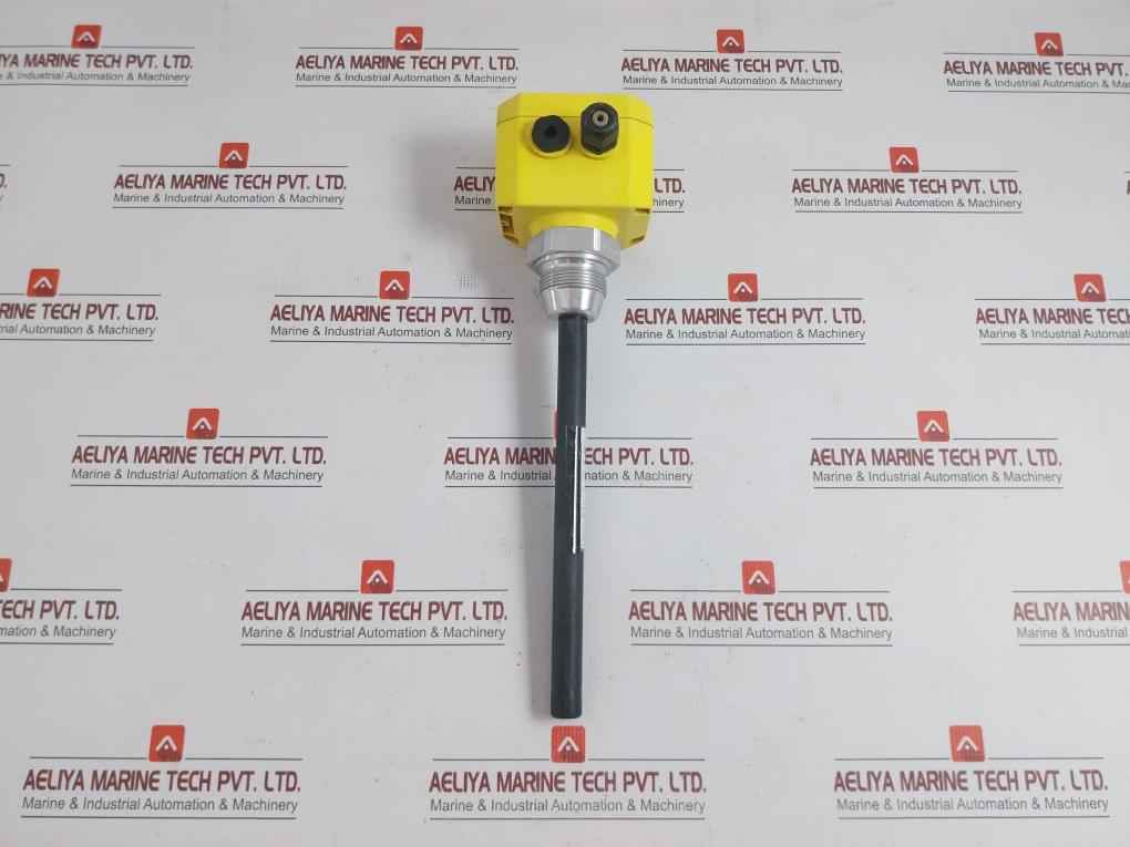 Point Detection Probe Level Sensor Cap21.Xgbasexxkr Vega