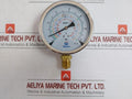 Pressure Gauge -1 To 24 Bar Gesa -90 TO 30˚C