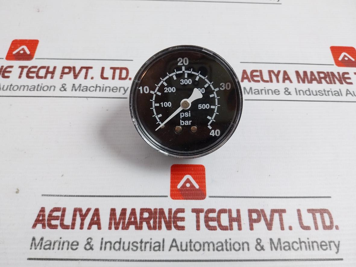 Pressure Gauge 0-550 Psi 0-40 Bar