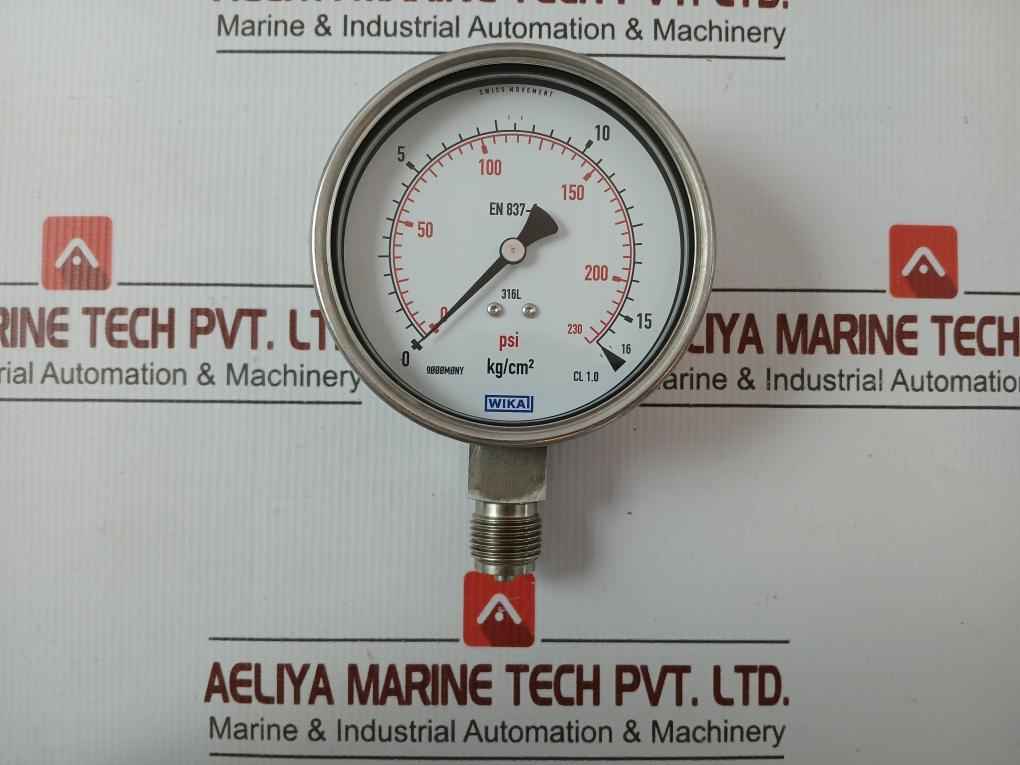 Pressure Gauge 230.20.100 Wika