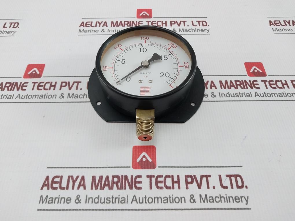Pro-Instrument 0-20 Kg/Cm2 Pressure Gauge 0-300 Psi