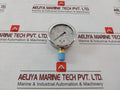 Pro-instrument P300 L-a Pressure Gauge 0-700 Psi 0-50 Kg/Cm2
