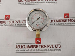 Pro-instrument P300 Lb Pressure Gauge Meter 0-100 Psi 0-7 Kg/Cm2 3/8 Pt