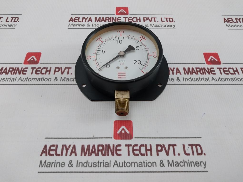Pro-instrument 0-20 Kg/Cm2 Pressure Gauge 0-300 Psi.