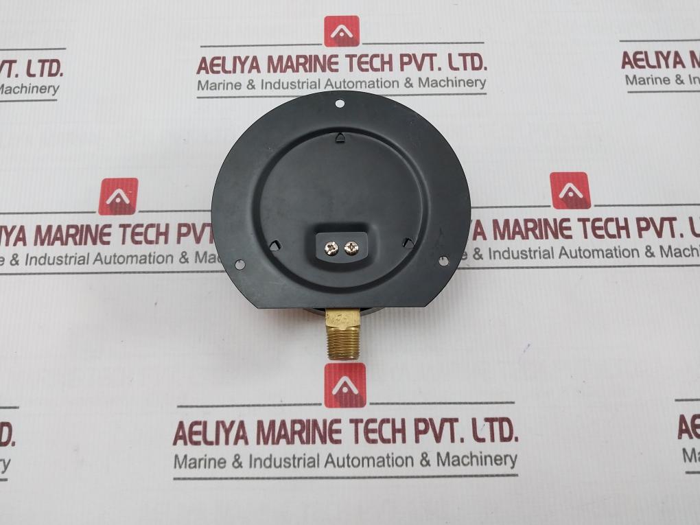 Pro-instrument Pressure Gauge 0-15 Kg/Cm2,0-200 Psi