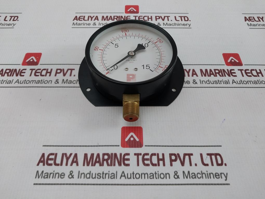 Pro-instrument Pressure Gauge 0-15 Kg/Cm2,0-200 Psi