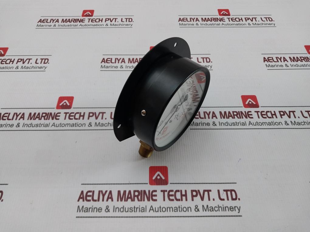 Pro-instrument Pressure Gauge 0-15 Kg/Cm2,0-200 Psi