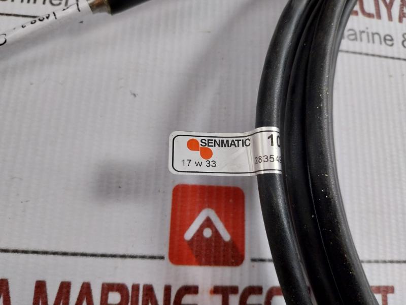 Probe Sensor Assembly 1018-031 Senmatic