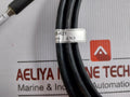 Probe Sensor Assembly 1018-031 Senmatic