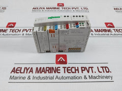 Profibus Dp Fieldbus Coupler 750-333 Wago 24V Dc