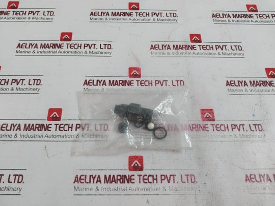 Prominent 1001438 Discharge Non-return Pressure Valve