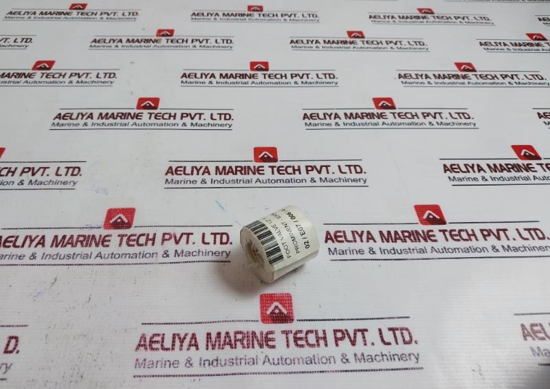 Prominent 924565 Foot Valve 1/2” X 3/8”, Np 1