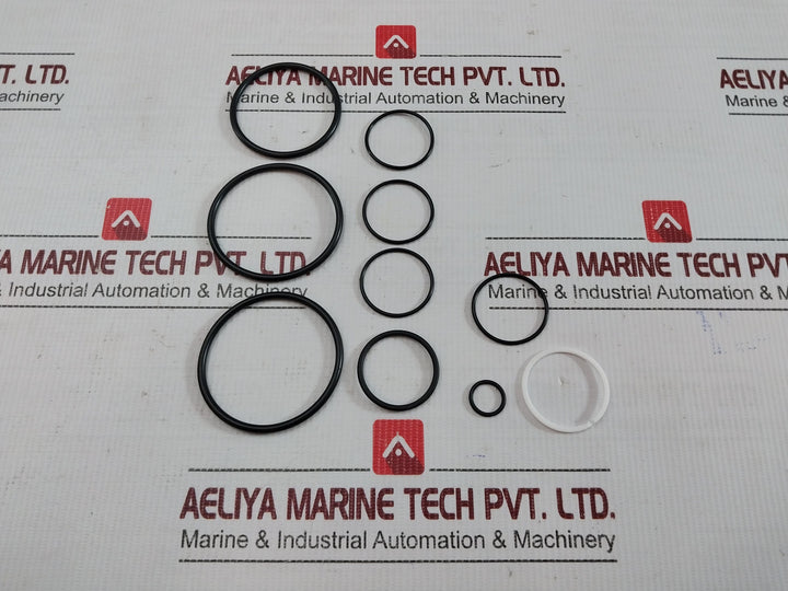 Proserv 44819-96 Rk Repair Kit 9910173 Rev.A