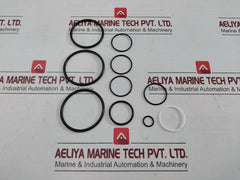 Proserv 44819-96 Rk Repair Kit 9910173 Rev.A