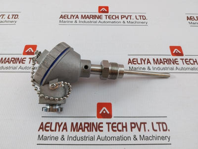 Pt 100 Resistance Temperature Detector Dae Yang Instrument
