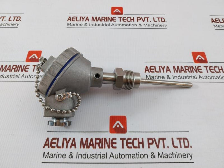 Pt 100 Resistance Temperature Detector Dae Yang Instrument