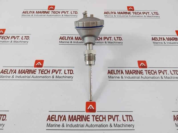 Pt 100 Resistance Temperature Detector Dae Yang Instrument