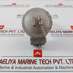 Pt 100 Resistance Temperature Detector Dae Yang Instrument