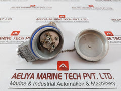 Pt 100 Resistance Temperature Detector Dae Yang Instrument
