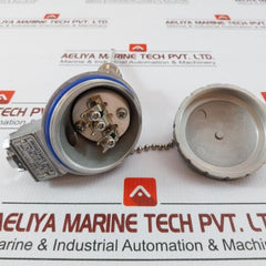 Pt 100 Resistance Temperature Detector Dae Yang Instrument