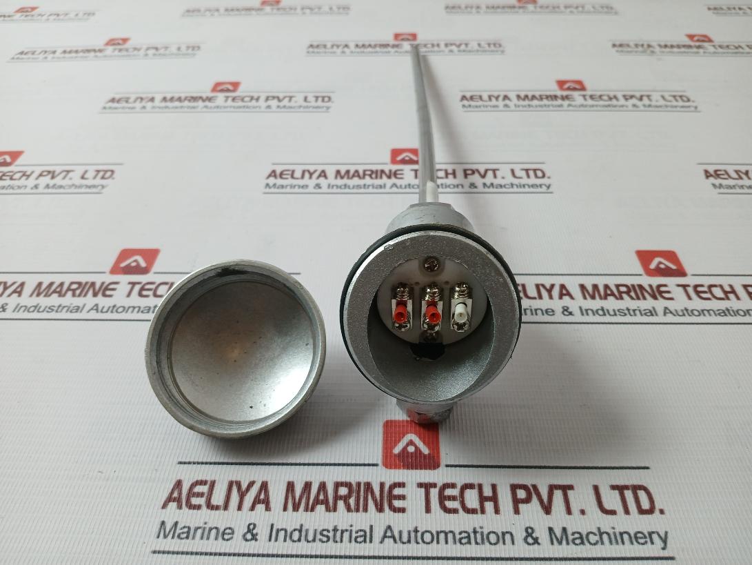 Pt100 Temperature Sensor 270-mm