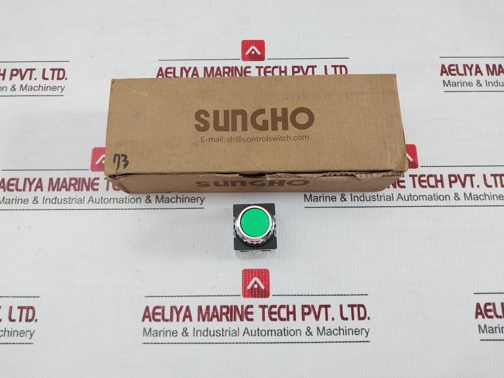 Push-Button-Switch-5a-250vac-Sungho-Shpr-25b-1-1