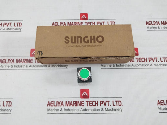 Push-Button-Switch-5a-250vac-Sungho-Shpr-25b-1-1