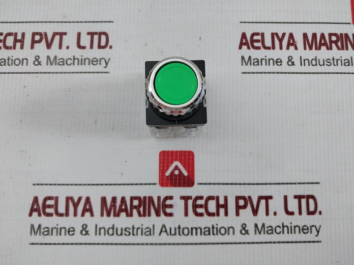 Push-Button-Switch-5a-250vac-Sungho-Shpr-25b-1-2