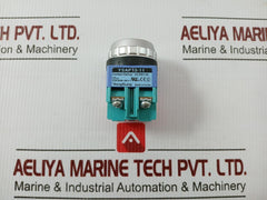 Push Button Switch Ysap13-11 Yongsung Ac250V 6A