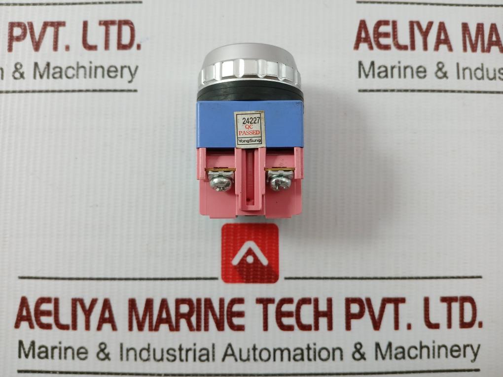 Push Button Switch Ysap13-11 Yongsung Ac250V 6A
