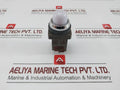 Pushbuttons-Pilot-Light-400-440V-50-60Hz-Idec-Apn118-w-209817-4