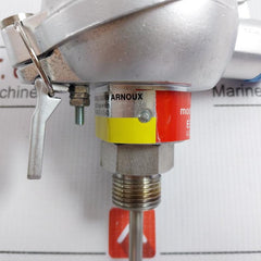 Pyro-controle Temperature Sensor Pt100