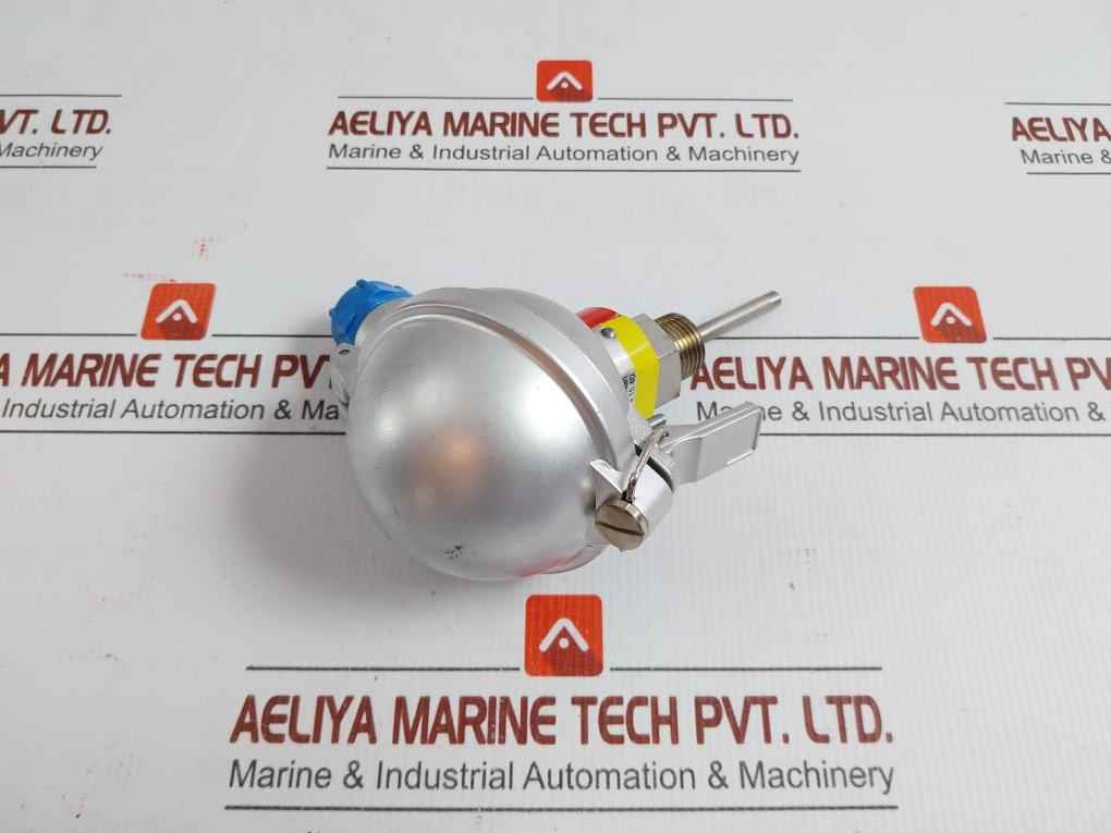 Pyro-controle Temperature Sensor Pt100